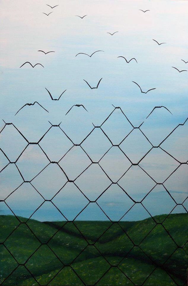 fliegende Vögel mit Netz